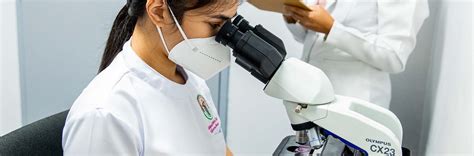 Medical Technology Program 的图像结果