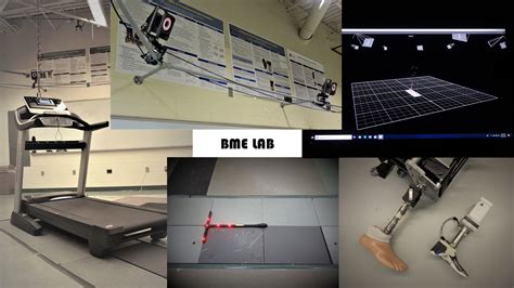 Biomedical Engineering Lab 的图像结果