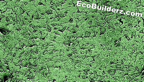 Image result for Turtle Shell Items