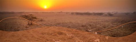 Best ERP Software Solution Company in Nigeria | Affordable ERP