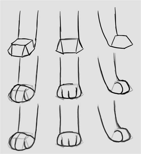 Draw Cat Paws Tutorial 的图像结果