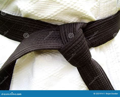 Martial Arts, Black Belt stock photo. Image of apparel - 2321914