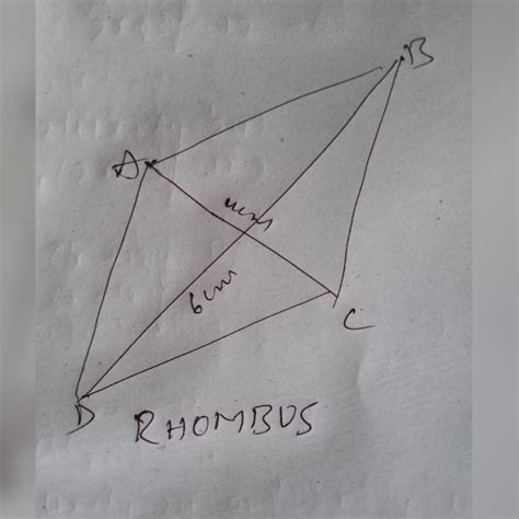 Draw two lines of lengths 6 cm and 4 cm, which perpendicularly bisect ...