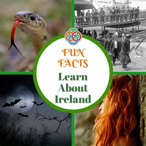 Interesting Facts About Ireland You May Not Know | Irish American Mom