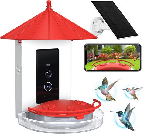 Amazon.com : BirdDock Smart Bird Feeder with Camera, Hummingbird Feeder ...