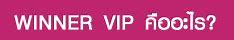 spin winner and vip login,In recent years