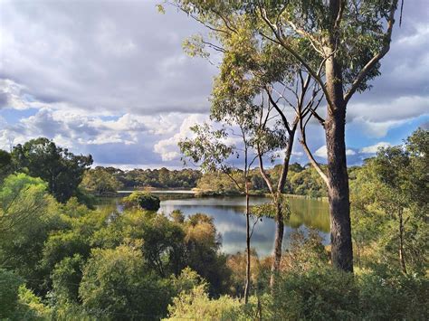 Newport Lakes Reserve - A Hidden Gem - West Melbourne and Beyond
