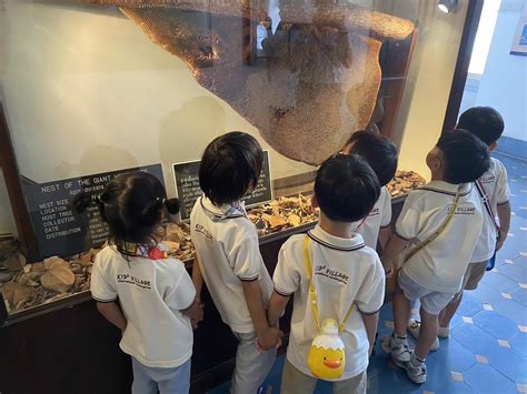 KidVision Pre-K Field Trips 的图像结果