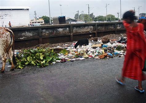 Garbage Disposal Final Destination 的图像结果