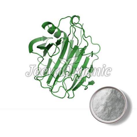 Bulk Enzymes Powder Manufacturer & Supplier