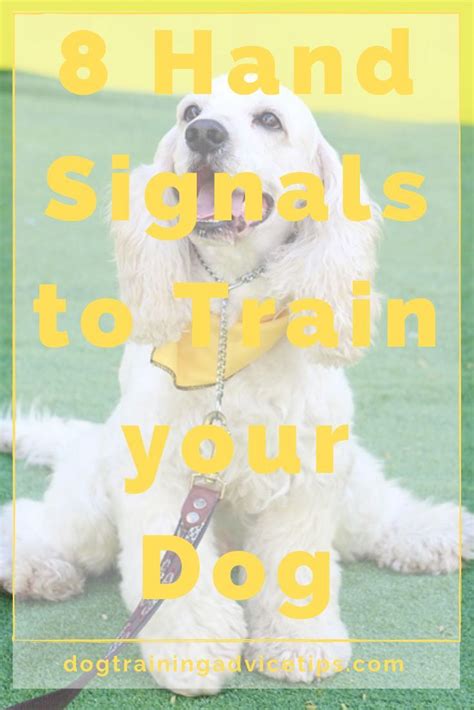 Image result for Hand Signs for Dogs