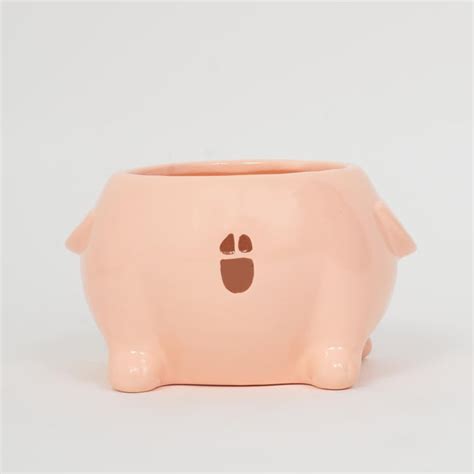 Buy Spinel Decor Ceramic Pig Planter from Home Centre at just INR 179.0