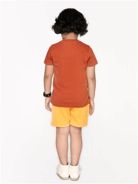 Simba Funky Tshirt For Boys – Spunkies