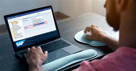 SAP GUI Automation 的图像结果