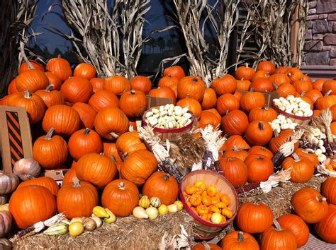 Foodie in the Kitchen: Whole Foods Market, Folsom - Grand Opening