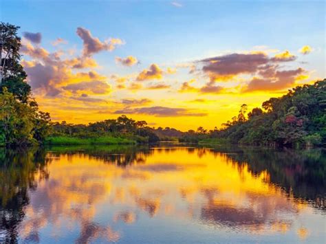 Ana Varela Tafur, la poeta social | Meer