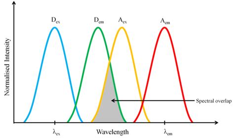 Figure 6.4 Diagrammatic representation of spectral overlap between ...