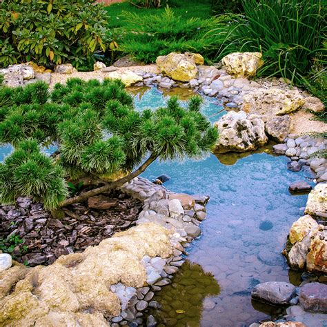 Image result for Spring-Fed Pool