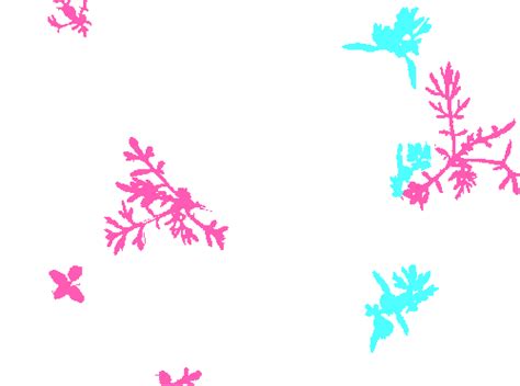 CWFID - Dataset Ninja