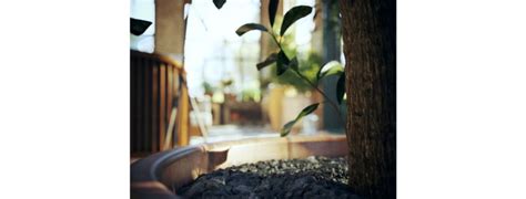 What is 3D Projection Mapping? - Adobe