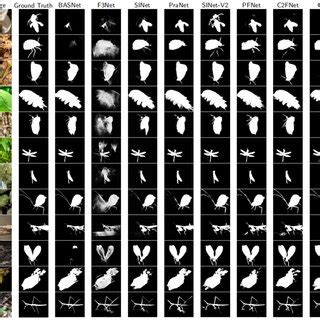 Image result for Visual Comparison