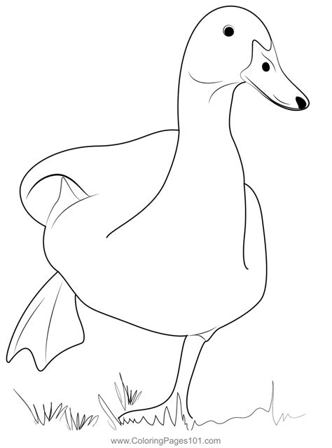 Children's Duck Coloring Pictures at Arthur Ritchie blog