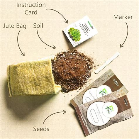 Buy Gardening Made Easy with Eco-friendly Herb Gardening Kit online ...