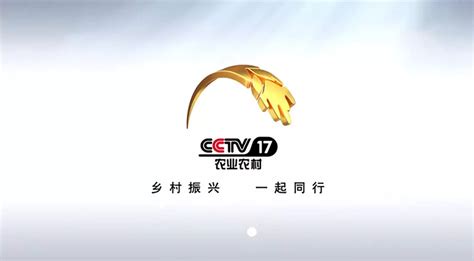 2021年CCTV央视17套广告价格