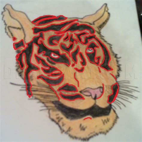 Image result for Tiger Drawing Tutorial