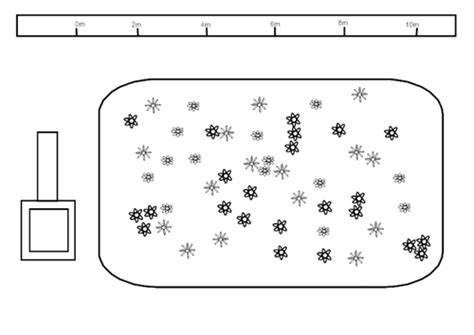 Image result for Ecological Sampling Using a Line Transect