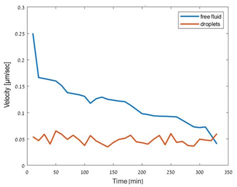 Sperm Inspection for In Vitro Fertilization via Self-Assembled ...