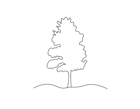 Image result for Maple Tree Line Drawing