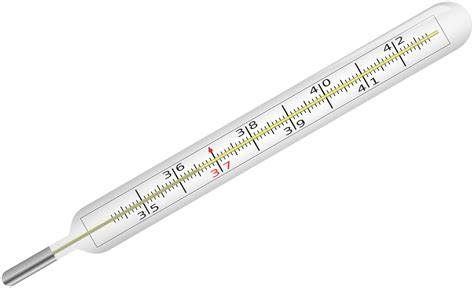 Thermometer Vector Clipart image - Free stock photo - Public Domain ...