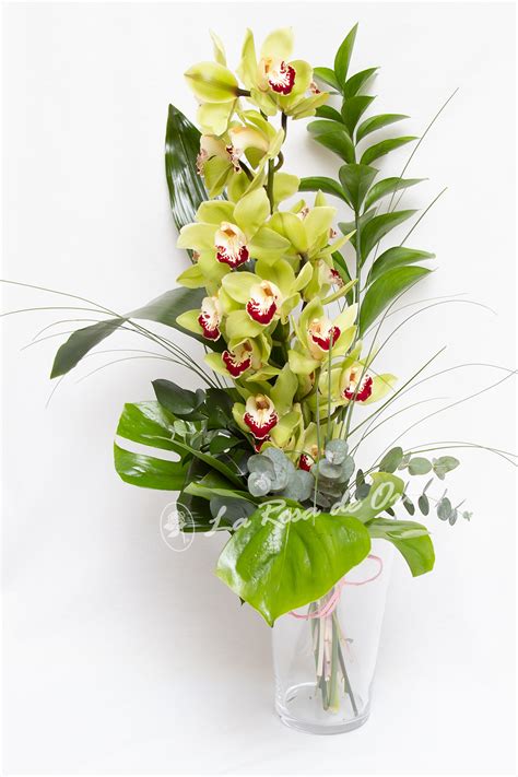 https://larosadeoro.es/wp-content/uploads/2020/02/lro_ramo-orquidea-cybidium-verde1.jpg