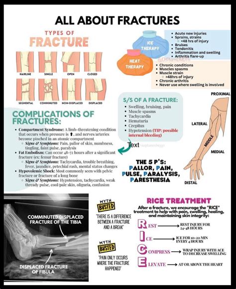 Image result for Basic Fractures First Aid