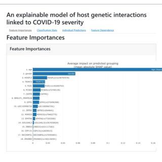 Shap Feature Importance Python 的图像结果