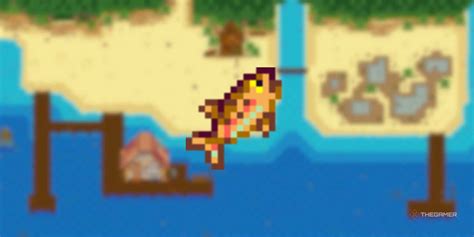 The Best Trout Derby Prizes In Stardew Valley