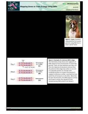 Mapping Genes To Traits In Dogs Using Snps Answer Key - Fill Online ...