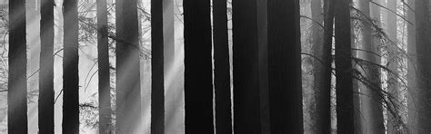 Chuan Body + Soul | Luxury Hotel Spa | The Langham, London