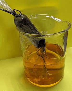 Image result for Diffusion Lab