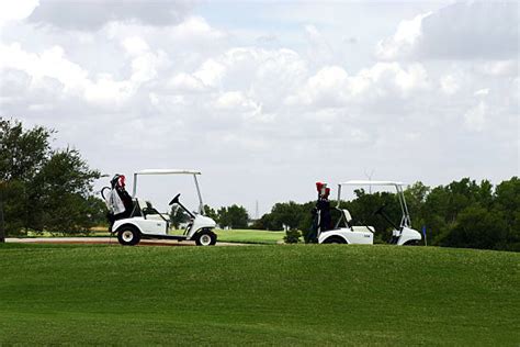 Image result for Golf Driver Side View