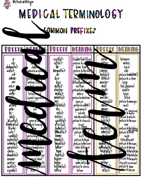 Medical Terminology Cheat Sheet - Etsy