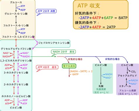 Image result for Multimolality Learning Alignment