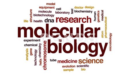 Biology Word Cloud