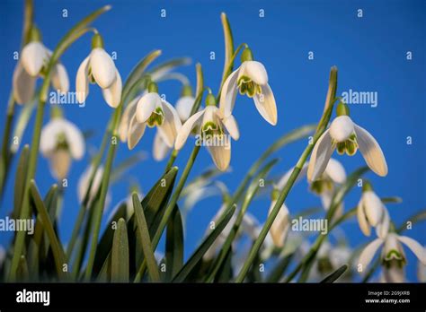 Image result for Common Core Grade 3 Math