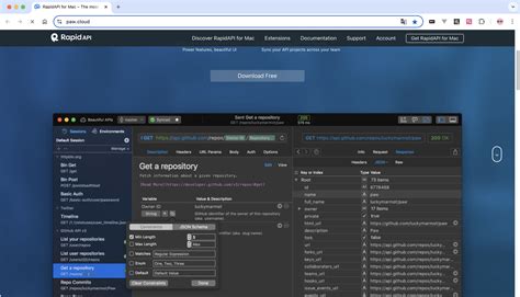 Test REST API 的图像结果