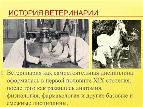 Ветеринария. Ветеринарная клиника