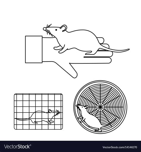 Mouse Model in Lab 的图像结果