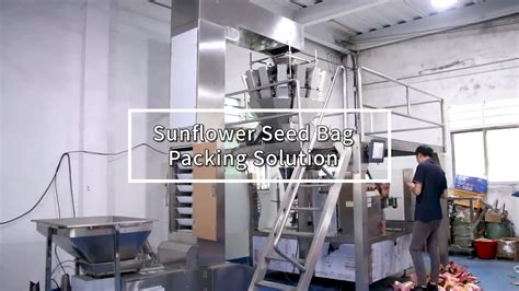 Automatic Rotary Zipper Premade Pouch Fill Sunflower Seeds Red Bean ...