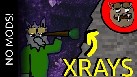 Image result for How Do You Add X-ray Hacks to a Minecraft World On Java Edition